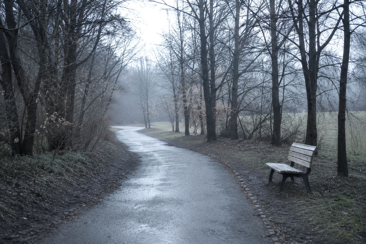 Leerer Spazierweg im Park an einem trüben Morgen als Bild für aktive Erholung